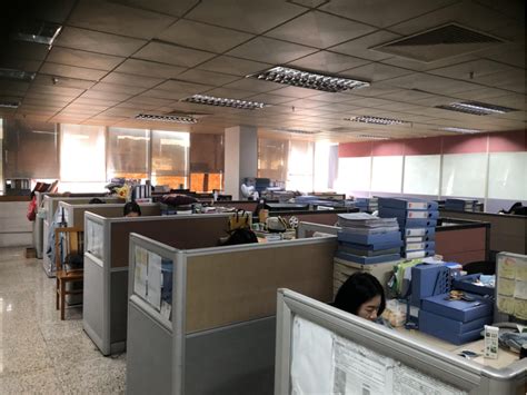 Cotton G String Thong Bikini Womens Underwear Panties Print Big Plus Size Sexy Adults Knitted