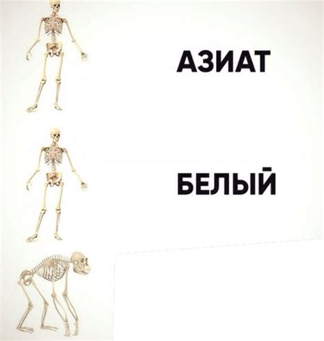 Создать мем skeleton ok sign humano iskelet Картинки Meme