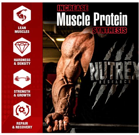 NUTREX ANABOL HARDCORE 60 CAPSULES Whey Protein Supplements Gym