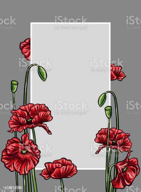 Poppy Flower Frame Vector Illustration Stock Illustration Download