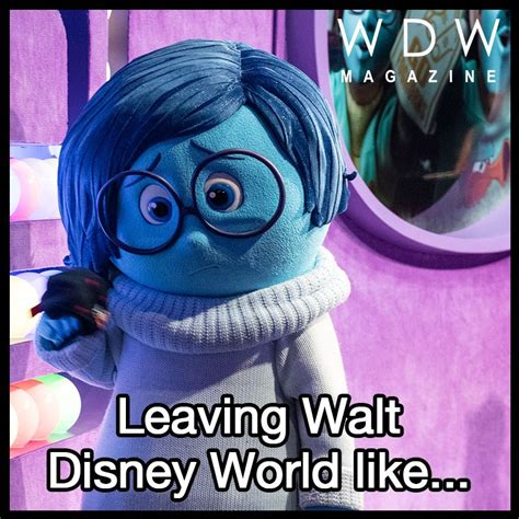 Disney World Memes