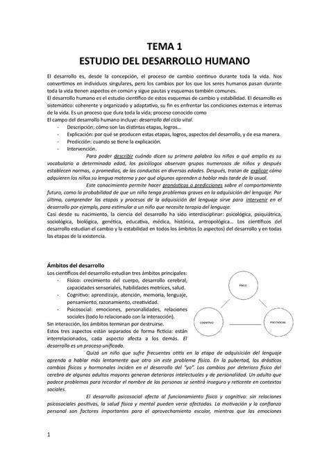 Desarrollo Apuntes 1 10 Tema 1 Estudio Del Desarrollo Humano El