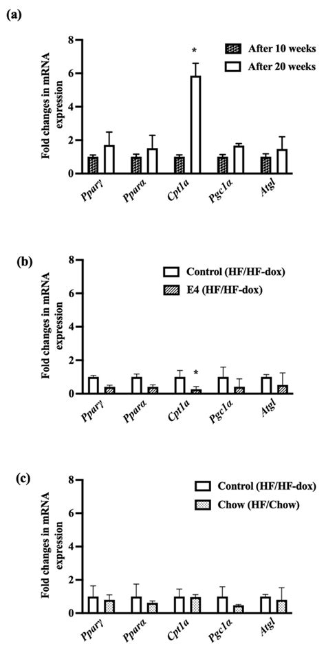 Ijms Free Full Text E4orf1 Prevents Progression Of Fatty Liver