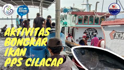 Aktifitas Bongkar Ikan Di Pps Cilacap Januari Youtube