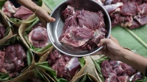 Tidak Sembarangan Ini Cara Simpan Daging Kurban Dengan Tepat Biar