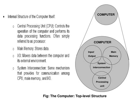 Ppt Basic Structure Of Computer Powerpoint Presentation Free