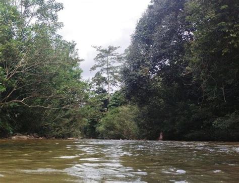 Remaja Oku Lembam Lemas Ketika Mandi Sungai