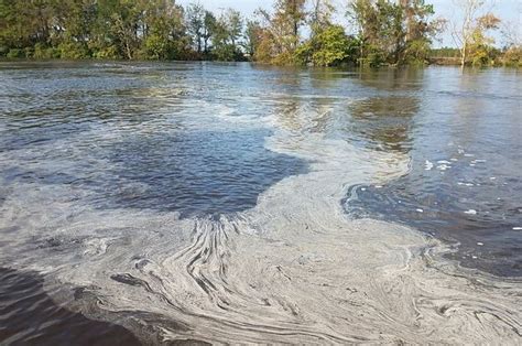 Toxic Coal Ash May Be Entering A North Carolina River After Floodwaters