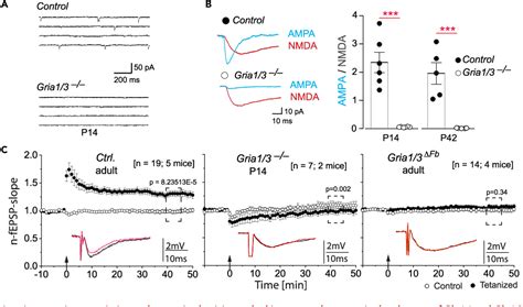 figure   distinct effects  ampar subunit depletion  spatial