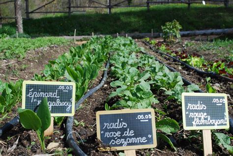 Stage Terre Vivante Concevoir Et Mettre En Place Son Potager 2020