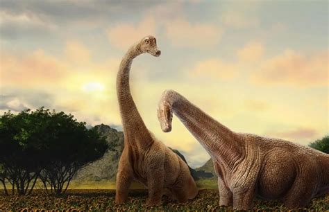 Top 15 Famous Dinosaurs With A Long Neck Dinosaur Universe