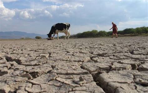 Desastre natural en Veracruz sequía devastó 68 municipios La Verdad