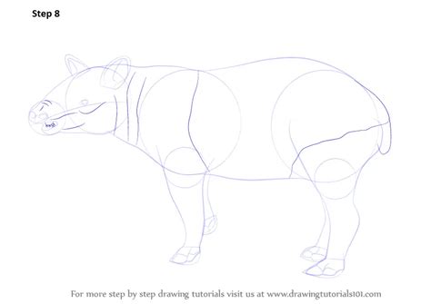 Learn How to Draw a Tapir (Wild Animals) Step by Step : Drawing Tutorials