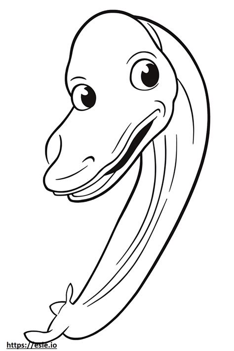 Freshwater Eel Face Coloring Page