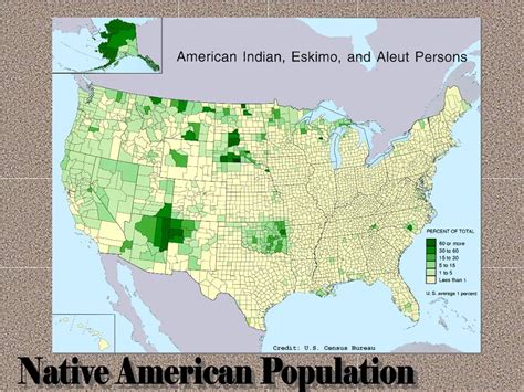 PPT - Native Americans during the Western Expansion PowerPoint ...