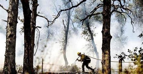 Extensa ola de calor en EU seguirá batiendo récords