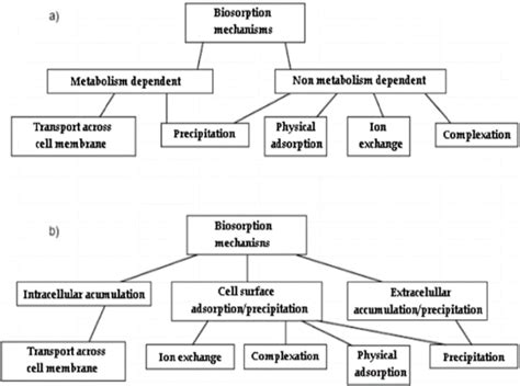 Biosorption mechanisms as classified by [82]. (a) -Classified according ...