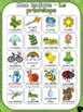 French Spring Vocabulary Printemps Lexique By French Buzz Tpt