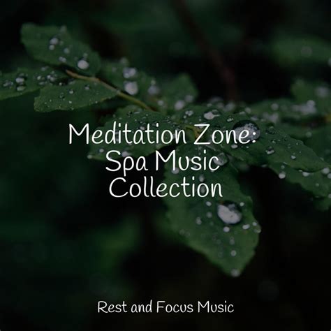 Meditation Zone Spa Music Collection Album By Relaxation Sleep