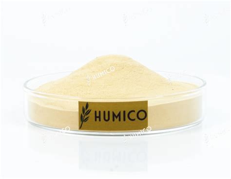 Magnesium Amino Acid Chelate Largest Organic Fertilizers Manufacturer