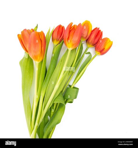 Bouquet Of Orange Tulips Stock Photo Alamy