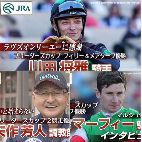 スワーヴリチャード（ジャパンカップ） Neoサイン競馬ファイナライズの迷推理