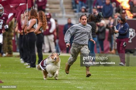 Aggie Mascot Photos and Premium High Res Pictures - Getty Images