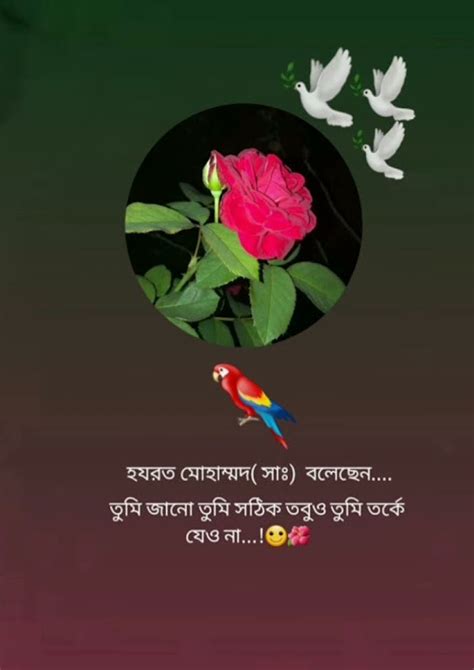 Akdom Thik Kotha🥰🥰ভাইরালভিডিও Youtube