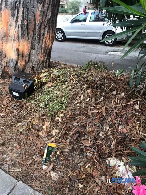 Incuria nel rione pineta la denuncia di un cittadino Qui è tutto nel