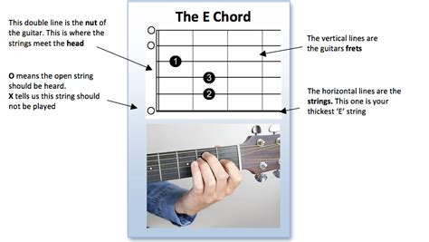 Lesson The E Chord