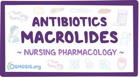 Antibiotics Macrolides Nursing Pharmacology Youtube