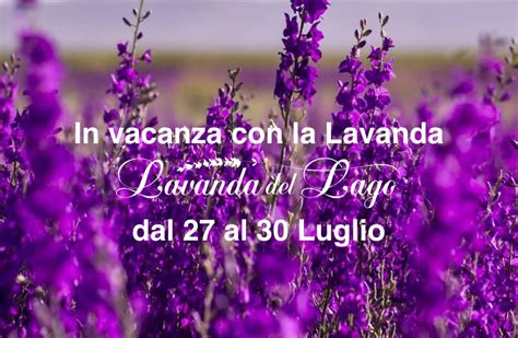 In Vacanza Con La Lavanda Trevignano Romano Turismo