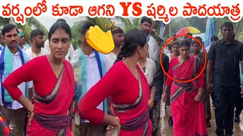 వర్షంలో కూడా ఆగని షర్మిల పాదయాత్ర Ys Sharmila Padayatra Due To Heavy