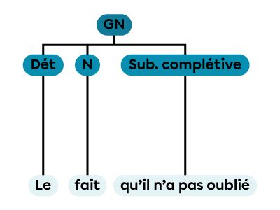 Le Groupe Nominal Gn Secondaire Alloprof