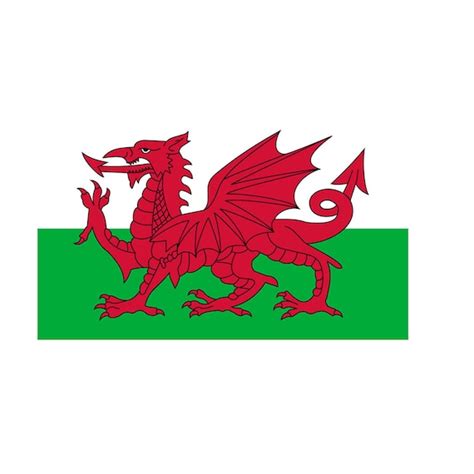 2 X Welsh Flag Iron on Screen Print Transfers for Fabrics - Etsy