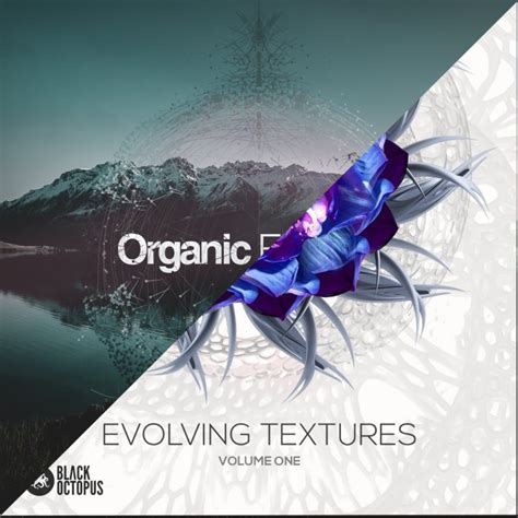 Organic Elements Evolving Textures Bundle Black Octopus Sound