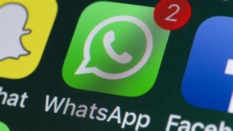 WhatsApp incrementa canais de envio de mensagem em massa áudio e