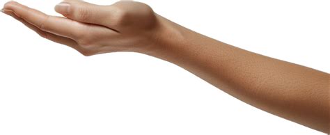 Outstretched Hand Palm Up 46337541 Png