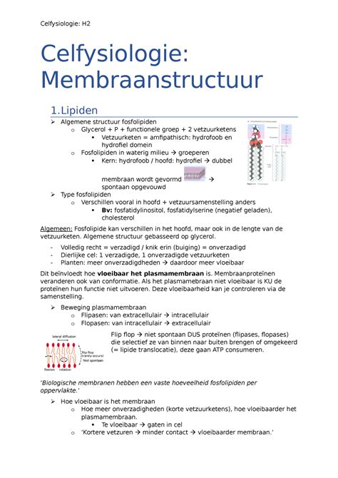 Celfysiologie H2 Samenvatting Celfysiologie H Celfysiologie