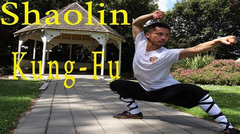 Shaolin Kung Fu Wushu Lian Huan Fist Training Tutorial Martial Arts