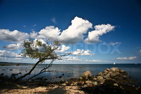 Naturen i det sydlige Sverige i Skåne Stock foto Colourbox