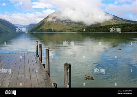 Nelson Lakes National Park Immagini E Fotografie Stock Ad Alta