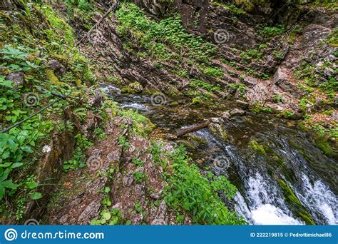 Beautiful Waterfalls And Mountain Rivers In Schoenebach In Vorarlberg