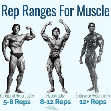 Rep Ranges For Muscle By Jmaxfitness Visit The Link In My Bio Right