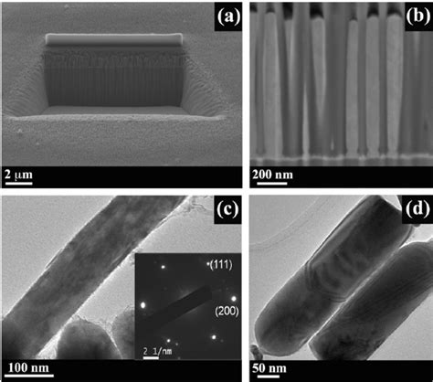 A SEM Of A Cross Sectional View Of An AAO Template Filled With