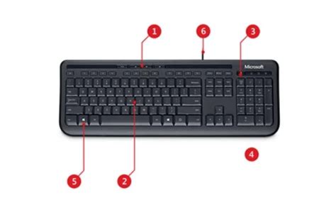 Microsoft Keyboard: Wired Keyboard 600 | Microsoft Accessories