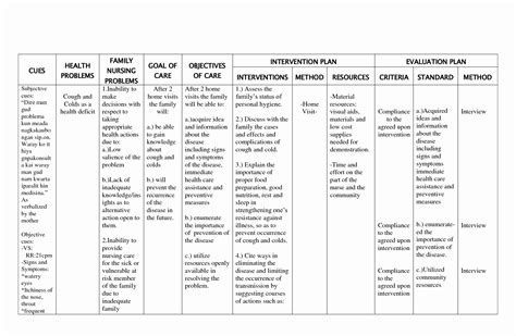 Examples Of Nursing Care Plans Example Document Template