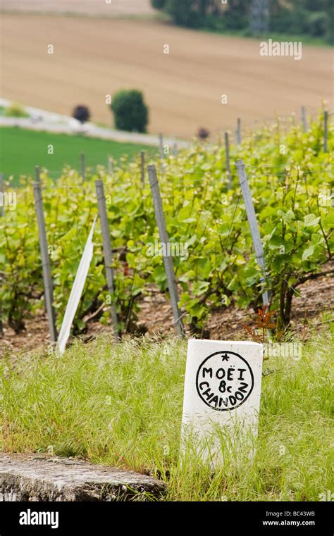Moet And Chandon Vineyard Sign Hautvillers Champagne Ardenne France