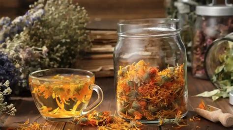 Tisane Infusi E Decotti Giuseppe Marzulli Biologo Nutrizionista A Bari