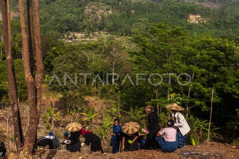 Tradisi Ngasuk Badui Saat Kemarau ANTARA Foto